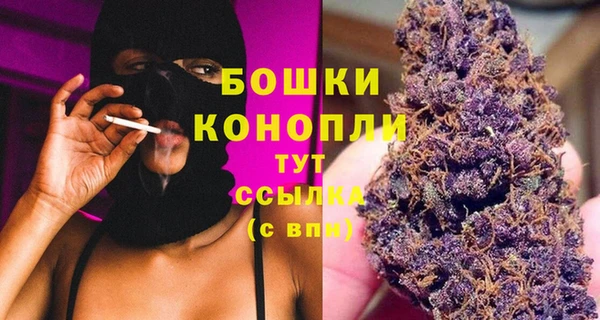 соль ск Волосово