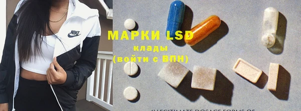 винт Вяземский