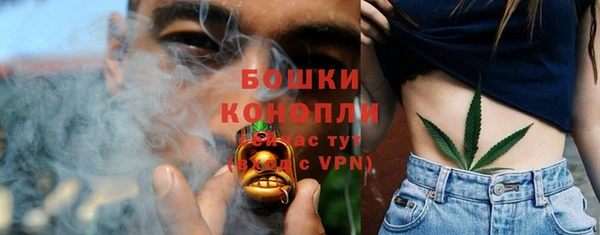 прущие крисы Козельск