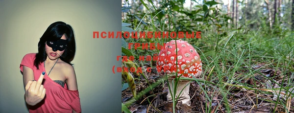 соль ск Волосово