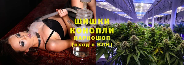 мдпв Верея