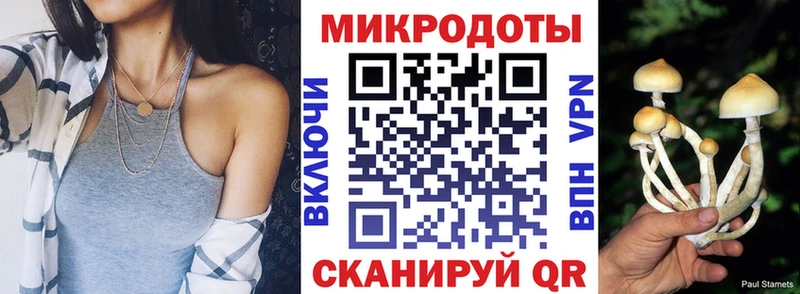 Галлюциногенные грибы Psilocybe  Задонск 
