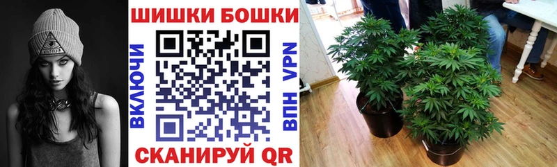 цена наркотик  Задонск  Канабис сатива 
